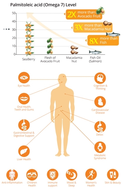 Benefits of Seaberry (Seabuckthorn)