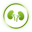 kidney Health